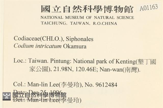 登錄號:A00001163藏品圖，第2張