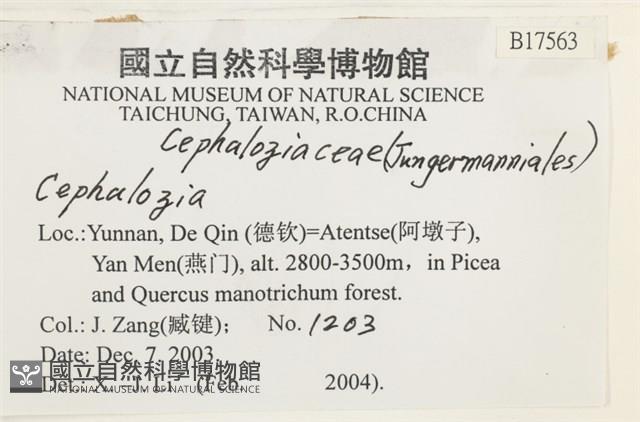 登錄號:B00017563藏品圖，第2張