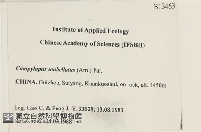 登錄號:B00013463藏品圖，第2張