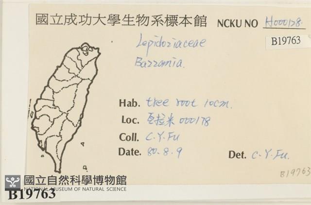 登錄號:B00019763藏品圖，第2張