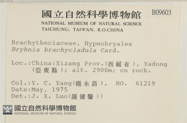 登錄號:B00009603藏品圖，第2張