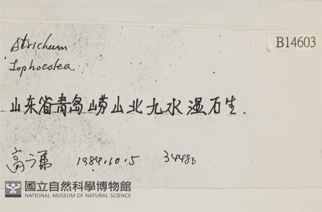 登錄號:B00014603藏品圖，第2張