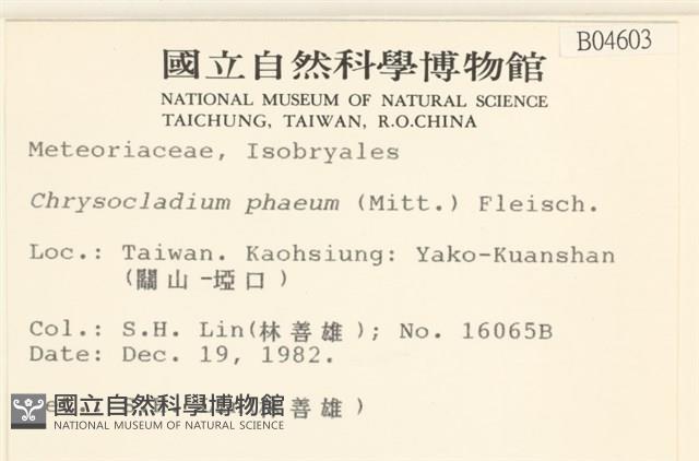 登錄號:B00004603藏品圖，第2張