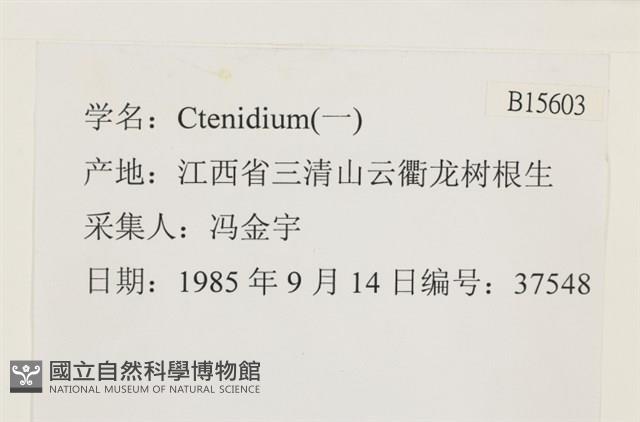 登錄號:B00015603藏品圖，第2張