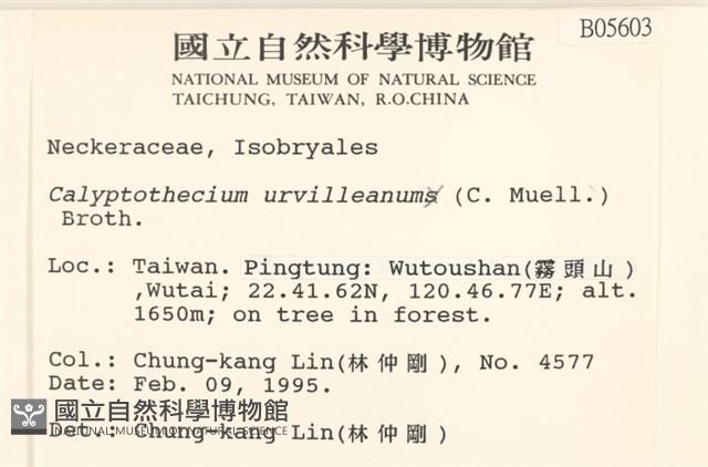 登錄號:B00005603藏品圖，第2張