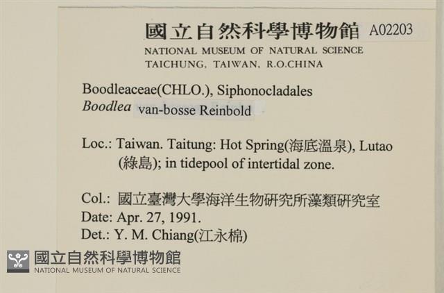 登錄號:A00002203藏品圖，第2張