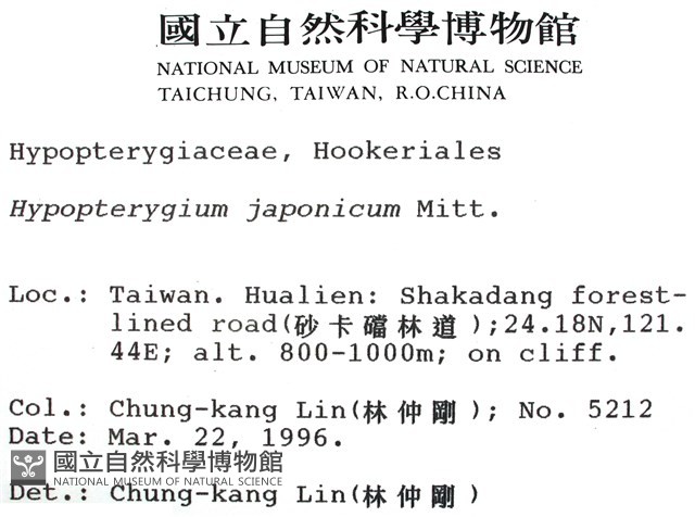 日本孔雀蘚藏品圖，第2張