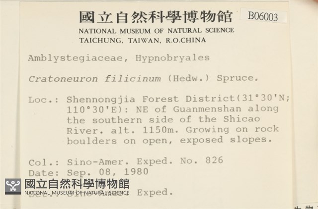 登錄號:B00006003藏品圖，第2張