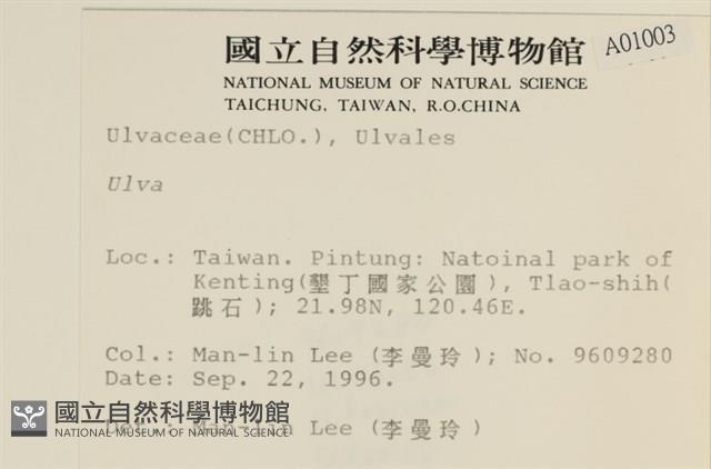 登錄號:A00001003藏品圖，第2張