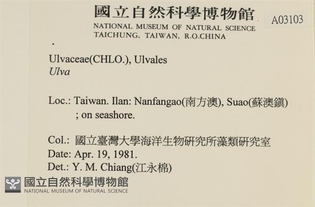 登錄號:A00003103藏品圖，第2張