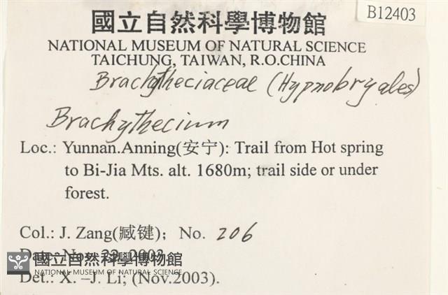 登錄號:B00012403藏品圖，第2張