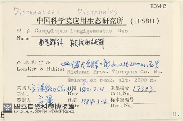 鞭枝曲柄蘚藏品圖，第2張