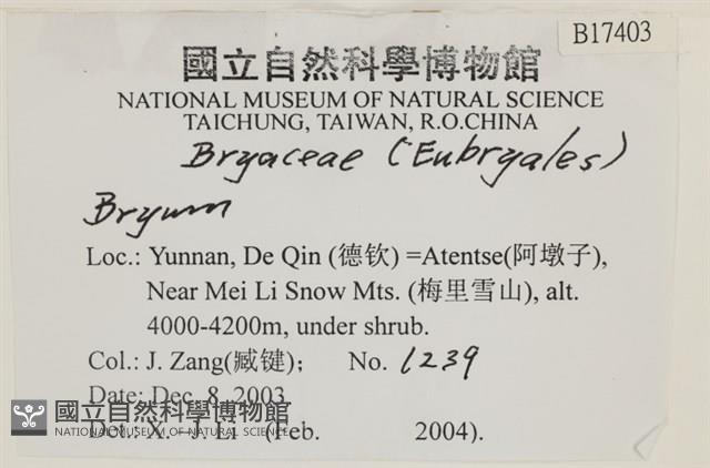 登錄號:B00017403藏品圖，第2張