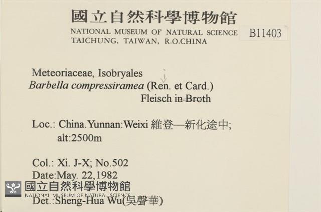 登錄號:B00011403藏品圖，第2張