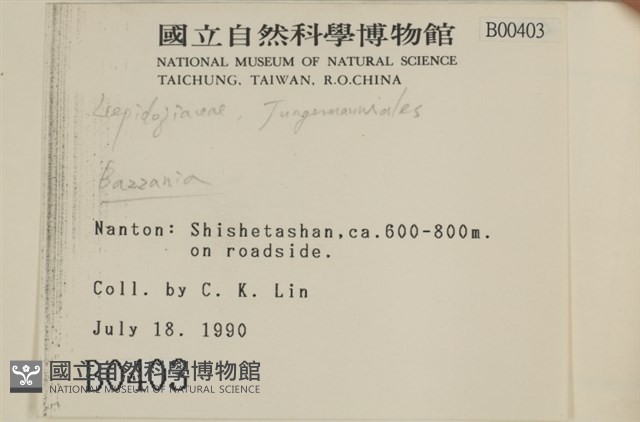 登錄號:B00000403藏品圖，第2張