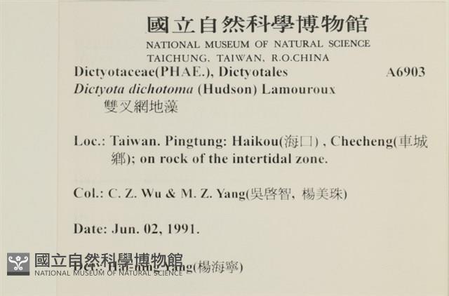 網目藻藏品圖，第2張
