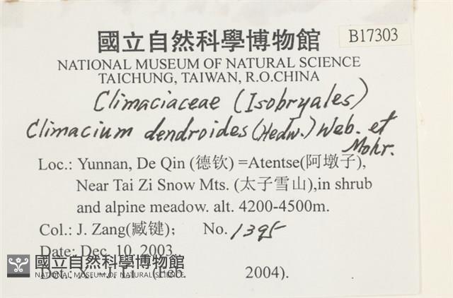登錄號:B00017303藏品圖，第2張