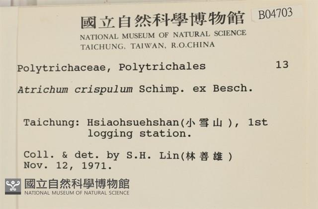 卷葉仙鶴蘚藏品圖，第2張