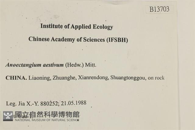 登錄號:B00013703藏品圖，第2張