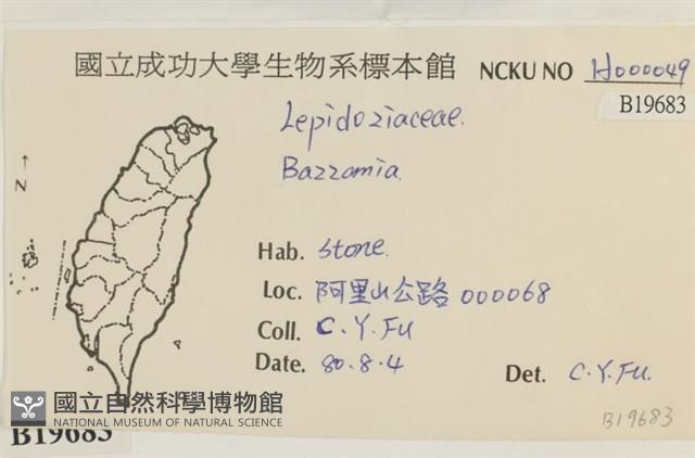 登錄號:B00019683藏品圖，第2張