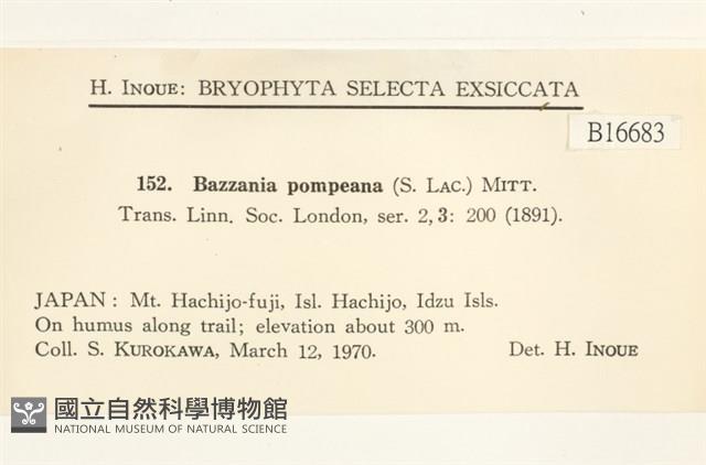 登錄號:B00016683藏品圖，第2張