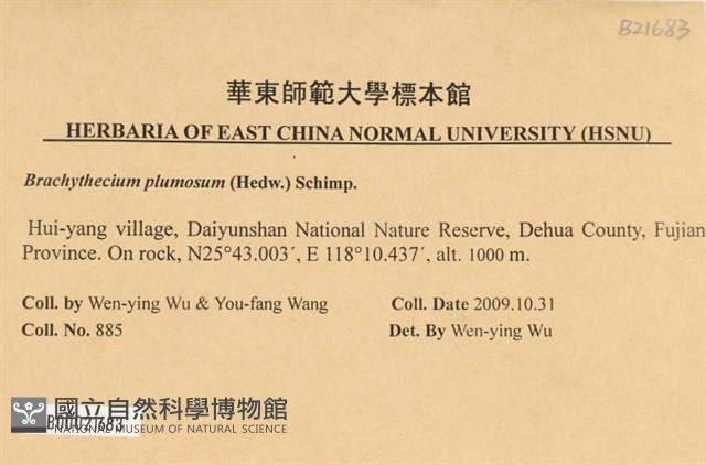 羽枝青蘚藏品圖，第2張