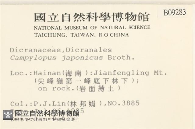 日本曲柄蘚藏品圖，第2張