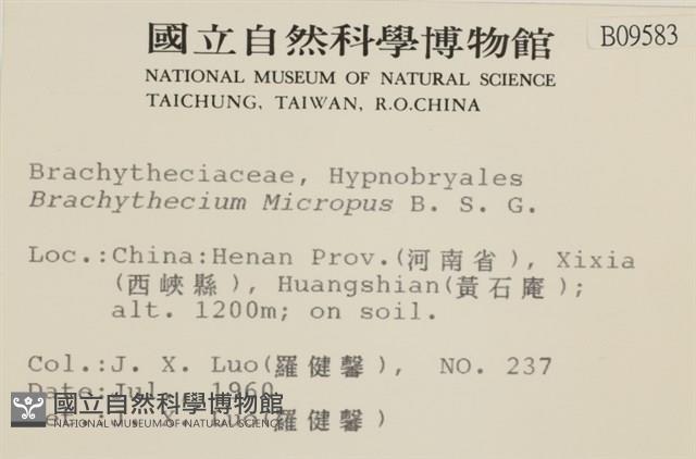 登錄號:B00009583藏品圖，第2張