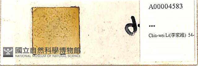 登錄號:A00004583藏品圖，第1張