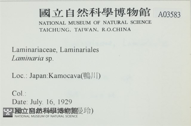 登錄號:A00003583藏品圖，第2張