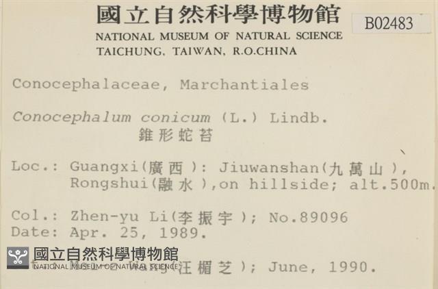 蛇苔藏品圖，第2張