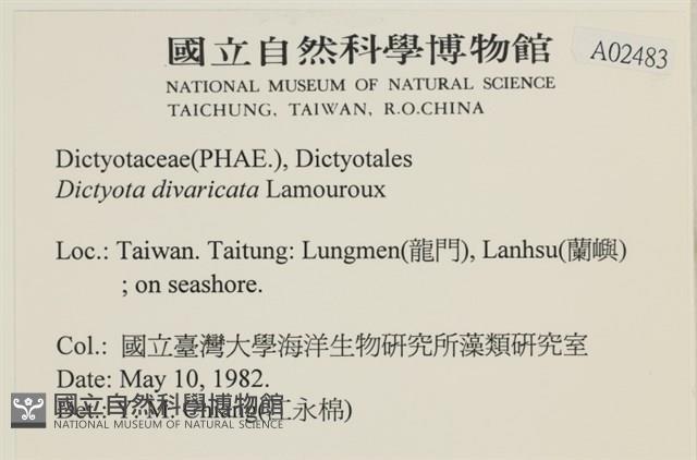 登錄號:A00002483藏品圖，第2張