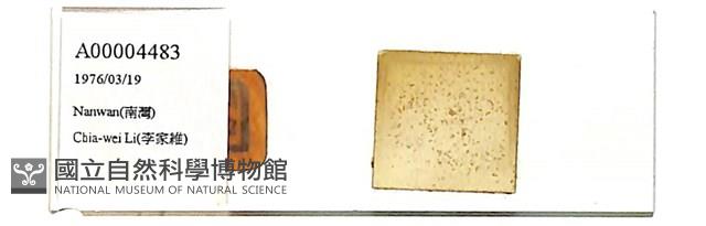 登錄號:A00004483藏品圖，第1張