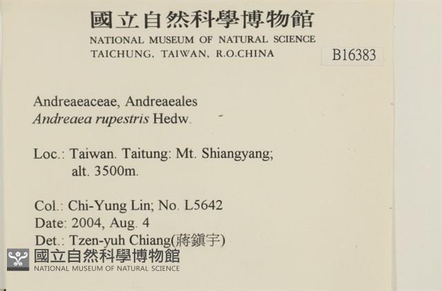 登錄號:B00016383藏品圖，第2張