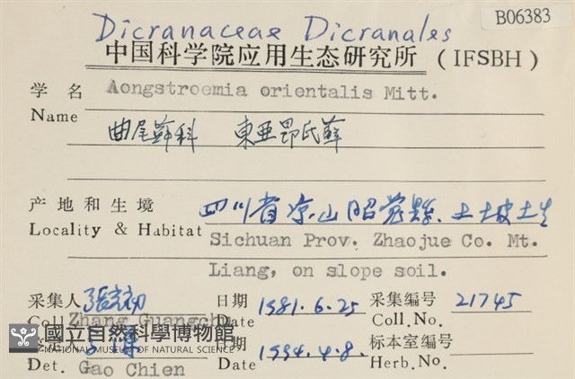 東亞昂氏蘚,東方昂氏蘚藏品圖，第2張