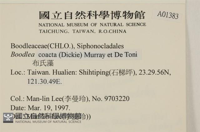 登錄號:A00001383藏品圖，第2張