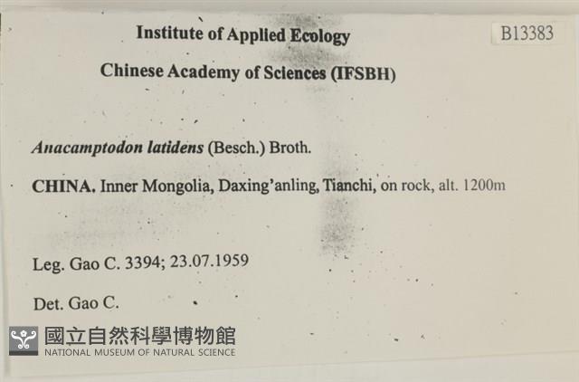 反齒蘚藏品圖，第2張