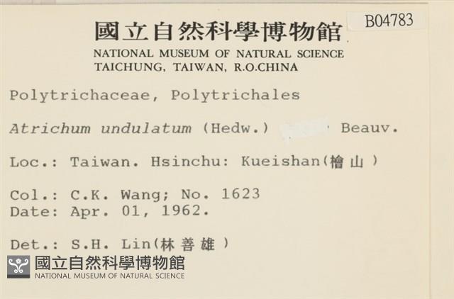 仙鶴蘚藏品圖，第2張