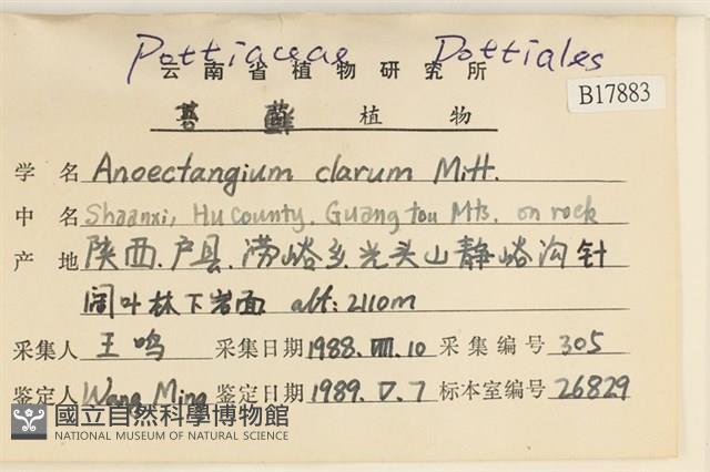 蛇苔藏品圖，第2張