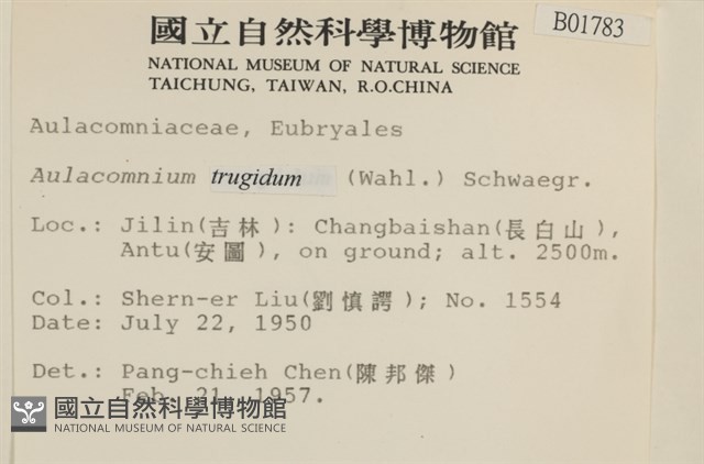 登錄號:B00001783藏品圖，第2張