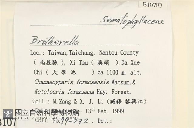 登錄號:B00010783藏品圖，第2張