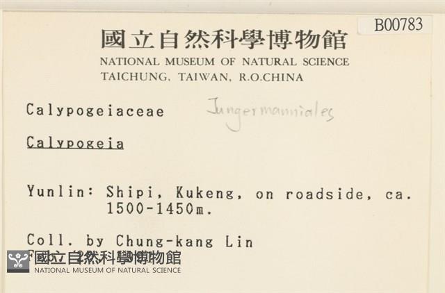 登錄號:B00000783藏品圖，第2張