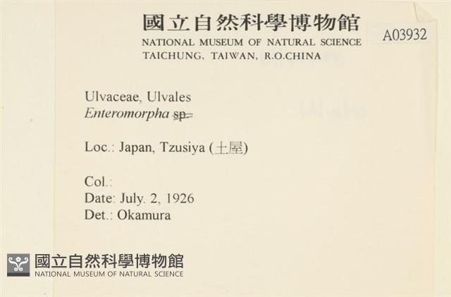 登錄號:A00003932藏品圖，第2張