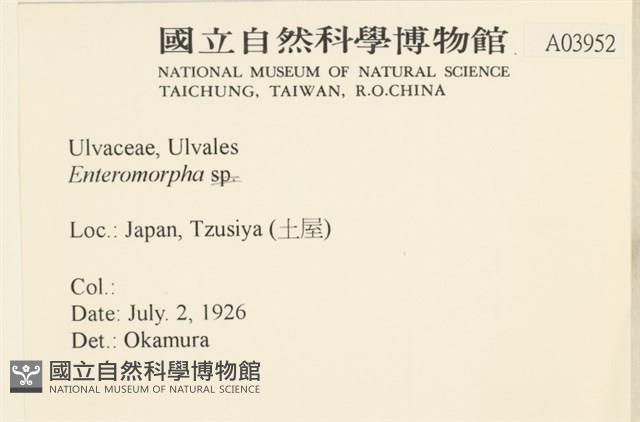 登錄號:A00003952藏品圖，第2張