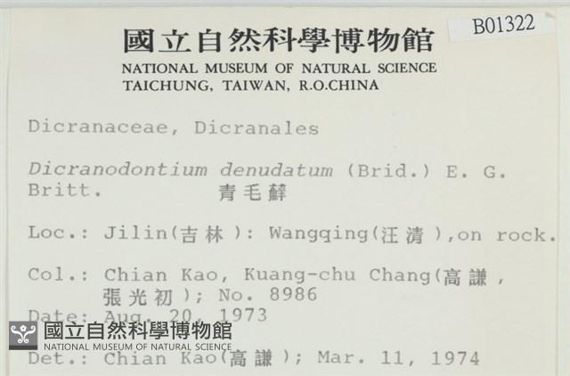 青毛苔藏品圖，第2張