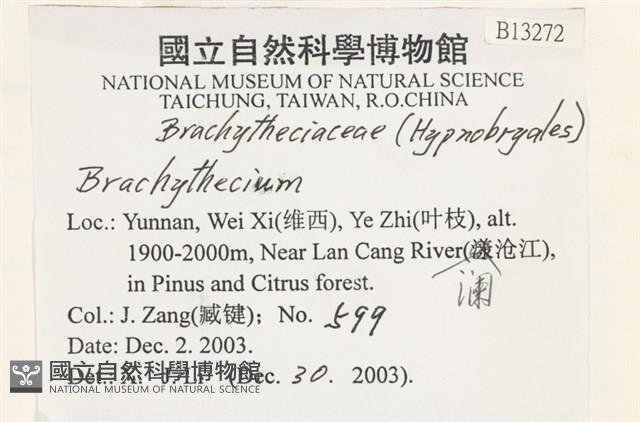 登錄號:B00013272藏品圖，第2張