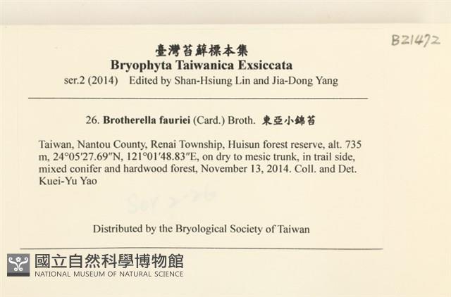 東亞小錦蘚藏品圖，第2張