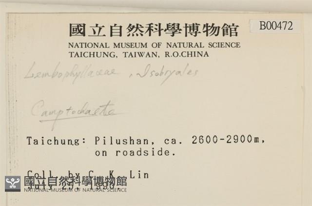 登錄號:B00000472藏品圖，第2張