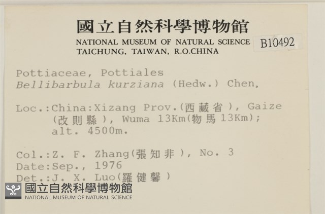 登錄號:B00010492藏品圖，第2張