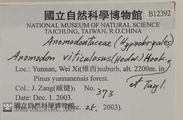 登錄號:B00012392藏品圖，第2張